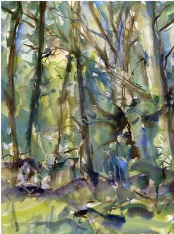 Landscape 5 - Woodland in Sunlight